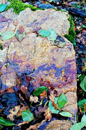 Rock and Leaf Fusion